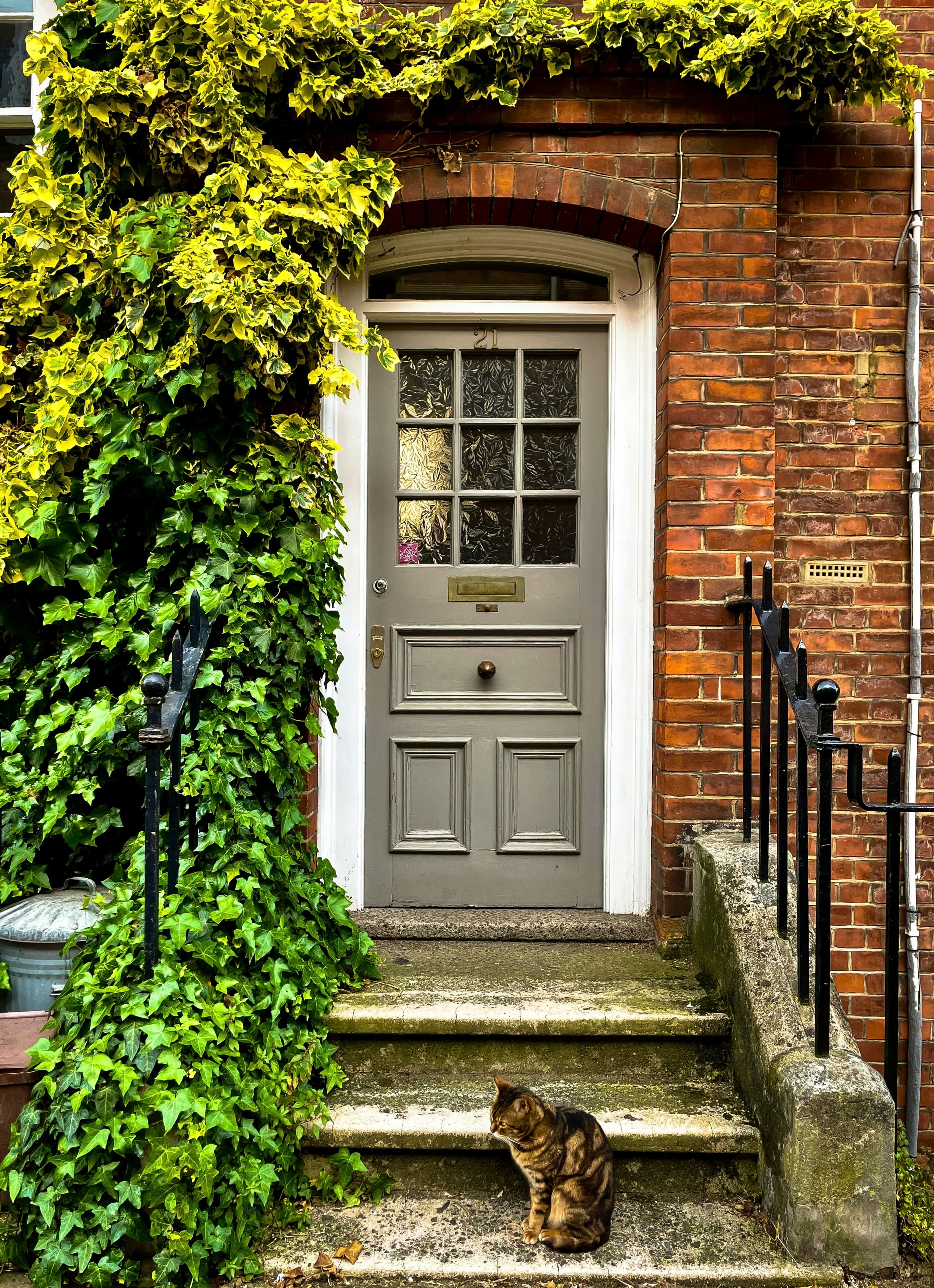 UK ivy-covered property doorstep